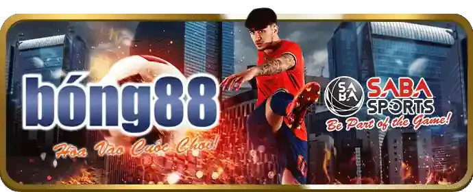 Nền tảng cá cược an toàn vip666